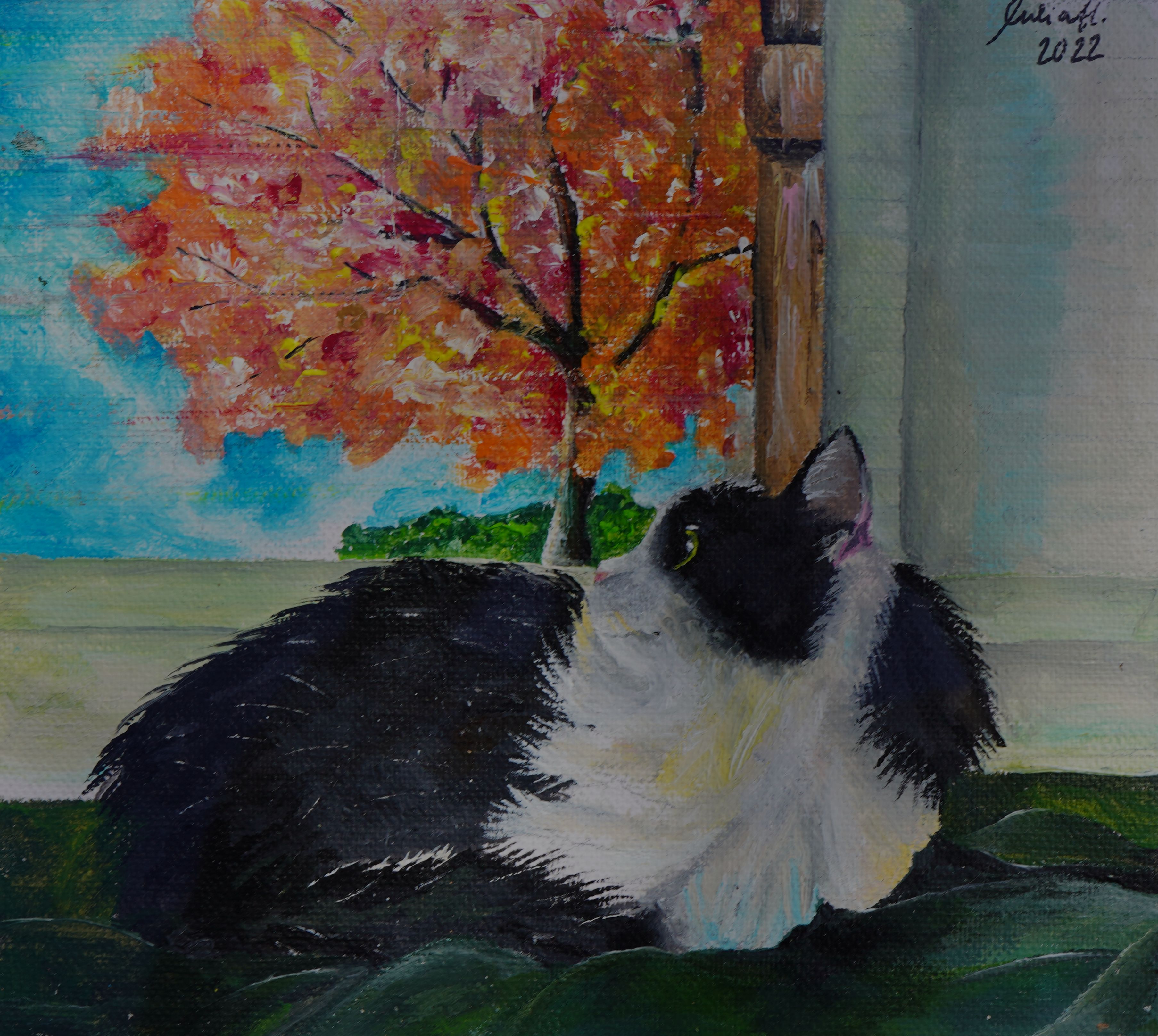 Katze vor Fenster - Julia Hatz