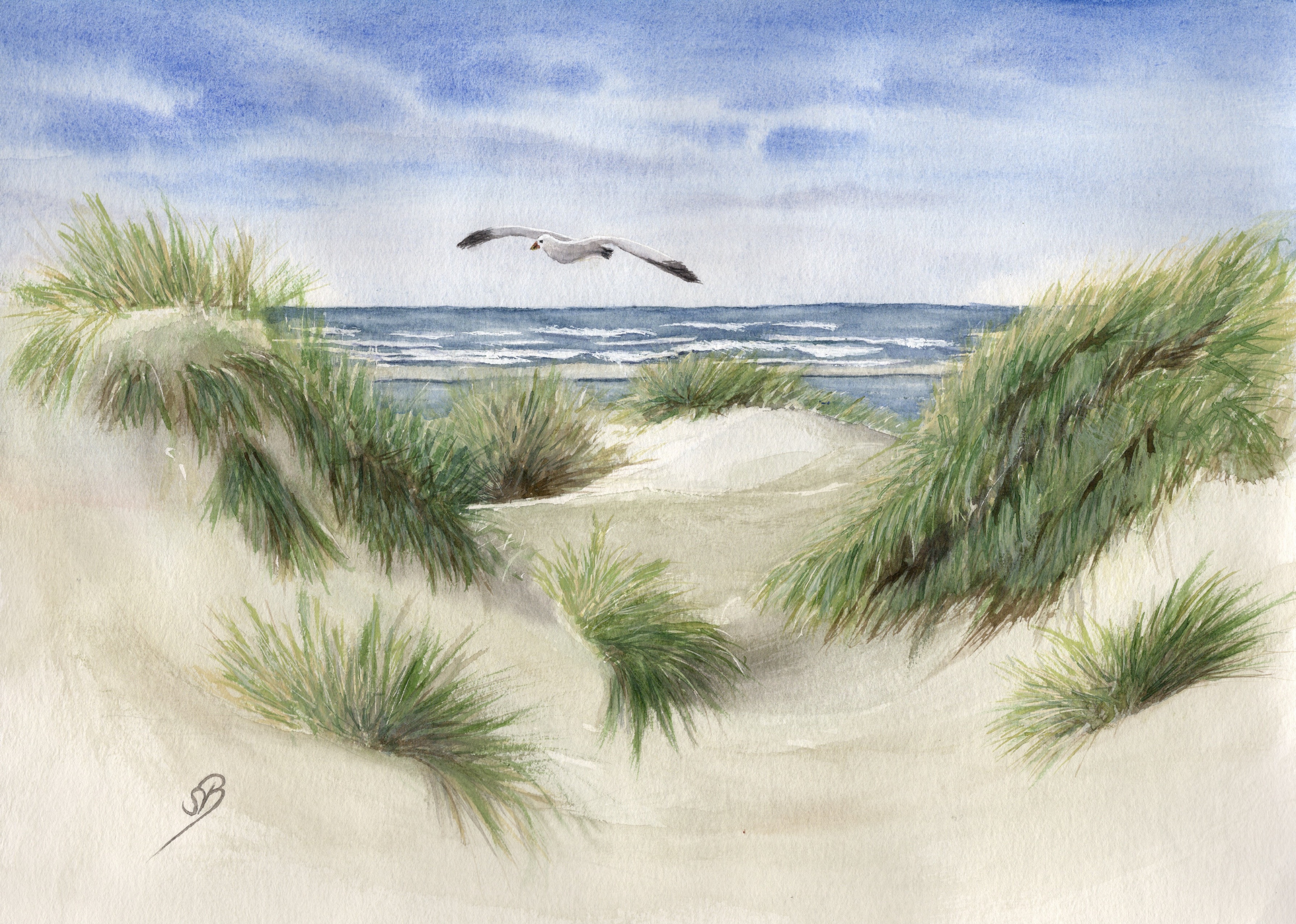 https://www.nordic-music.com/de/aAquarell-DIN-A4-Bild-Aquarelldruck-Daenemark-Nordsee-Duene-Meer-Moewe-Strand.html
